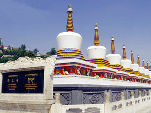塔尔寺旅游包车_藏传佛教圣地_旅游行业网站优化